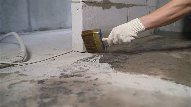 Top rated local Basement Waterproofing specialists in Fairmount, IN
